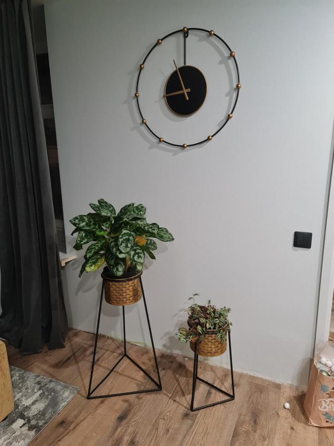 Old Town Apartment Riga Bagian luar foto
